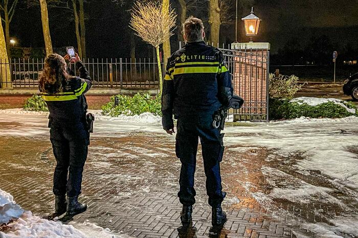 Kat door brandweer uit de boom gehaald