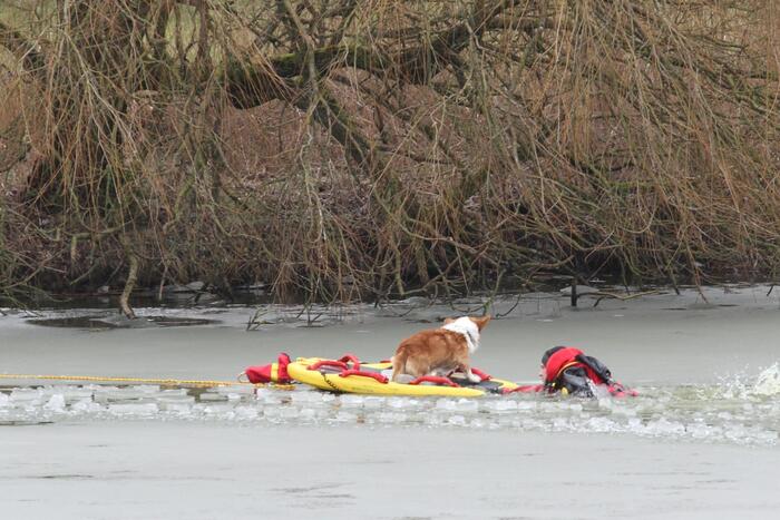 Jongen springt hond achterna en zakt door ijs