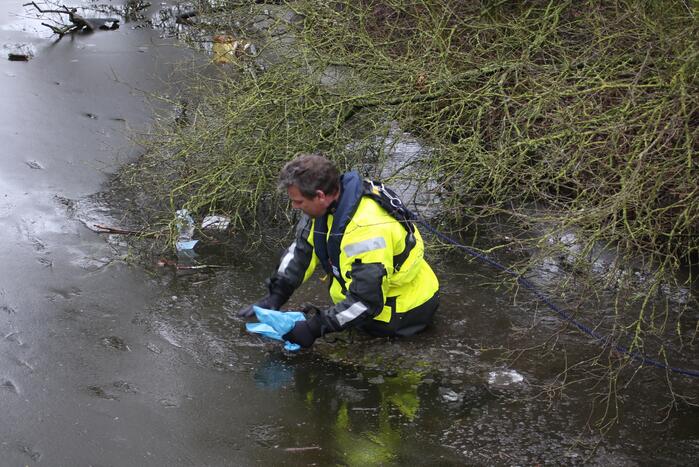 Dode reiger door brandweer uit het Rehorstpark gehaald