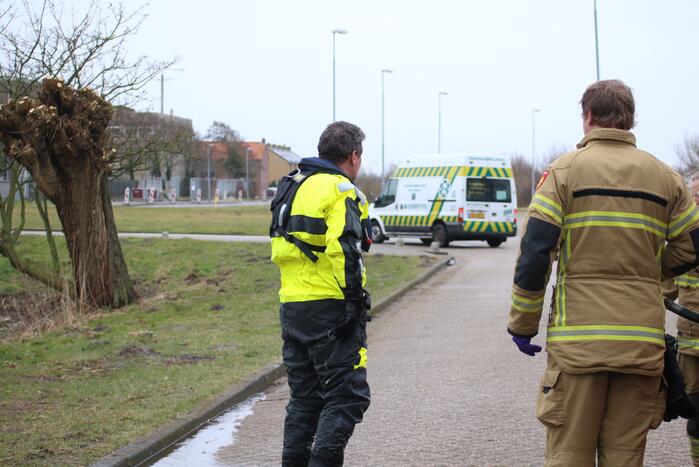 Dode reiger door brandweer uit het Rehorstpark gehaald