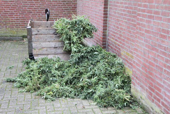 Hennepkwekerij ontdekt bij inval Finesse Exclusive Lounge