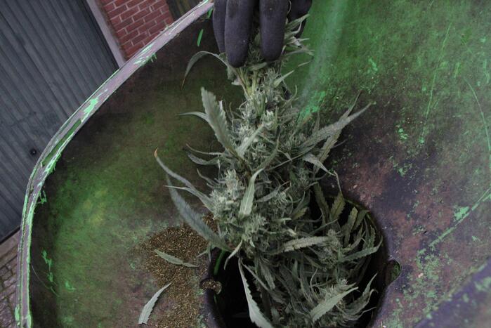 Hennepkwekerij ontdekt bij inval Finesse Exclusive Lounge