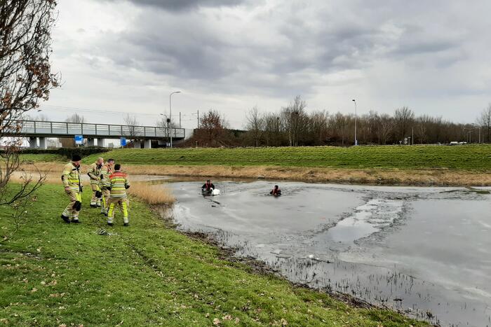 Brandweer en dierenambulance helpen zwaan uit ijs