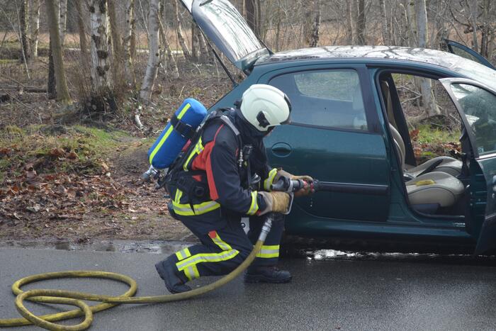 Auto door brand verwoest