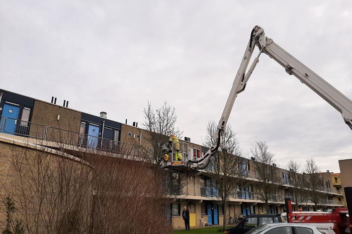 Brandweer haalt vastgelopen kat uit boom