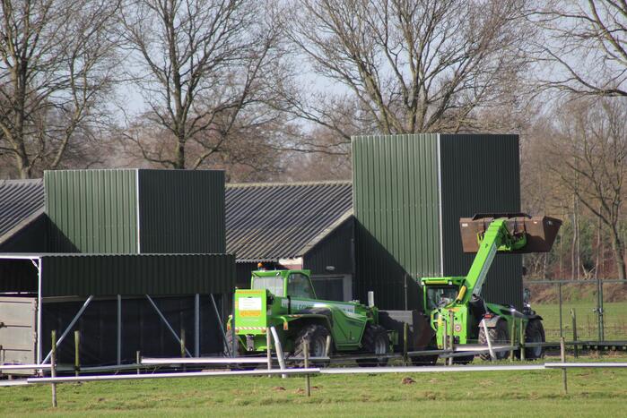 Gevaarlijke vogelgriep gevonden, 130 duizend kippen afgemaakt