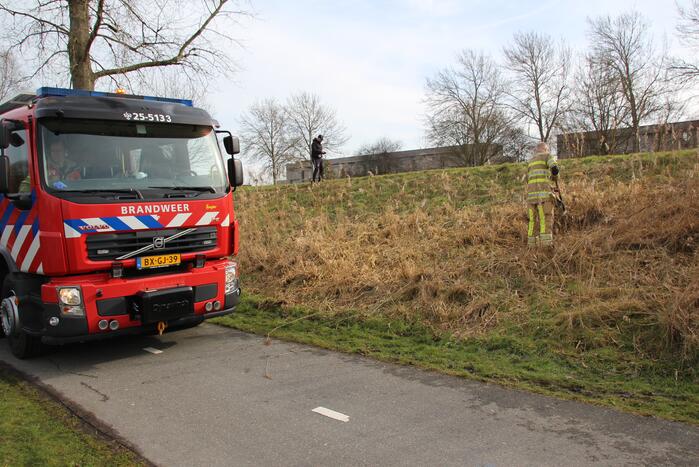 Brandweer blust kleine brand in bosschage