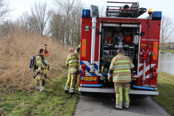 Brandweer blust kleine brand in bosschage