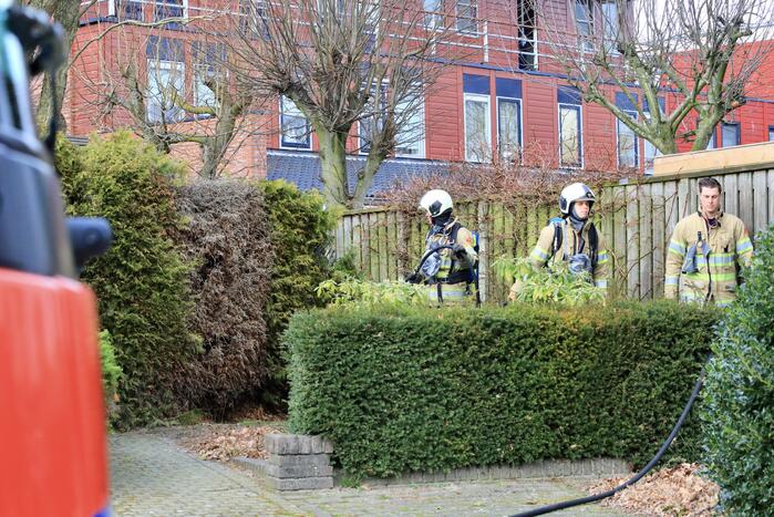 Tuinheg in brand gestoken
