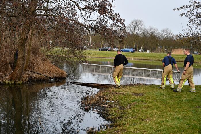 Meerkoet door brandweer gered