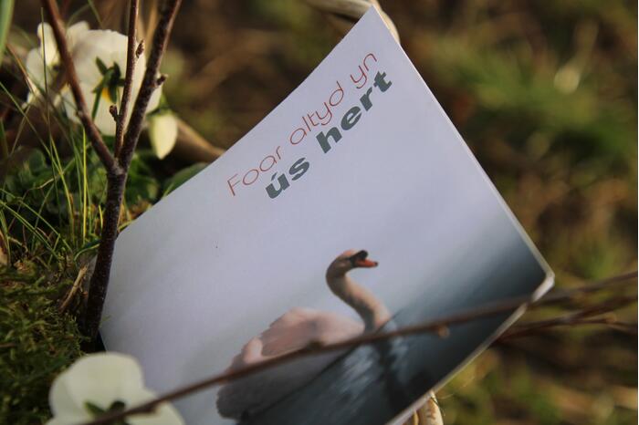 Met kaarsjes herdenken dorpsgenoten dood Karin Grijpstra (55)