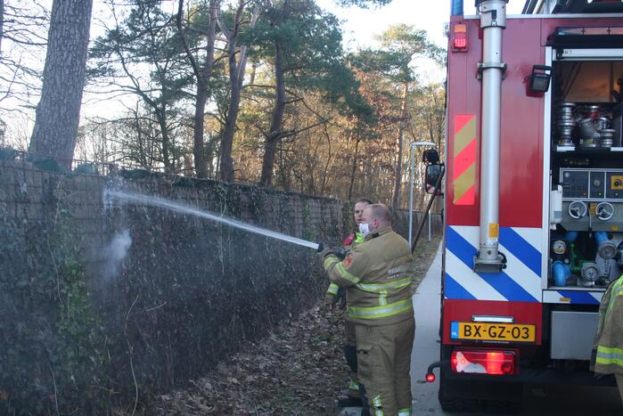 Natuurlijke afrastering vliegt in brand