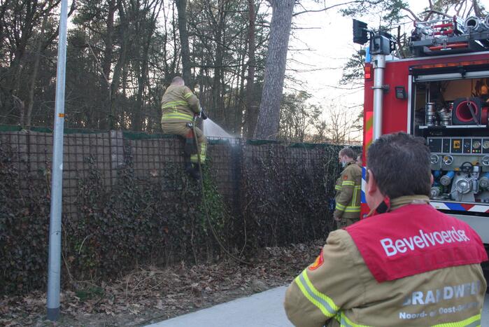 Natuurlijke afrastering vliegt in brand