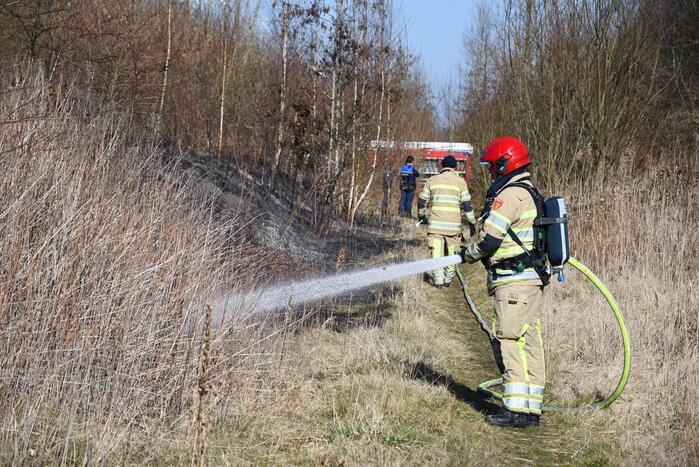 Enorm stuk riet langs spoor in brand