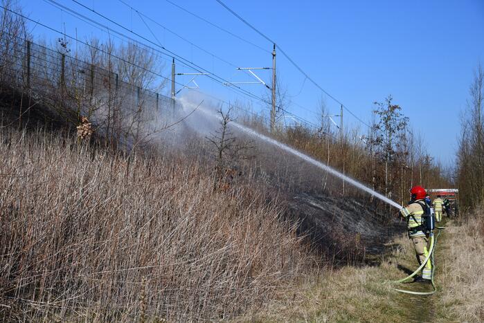 Enorm stuk riet langs spoor in brand