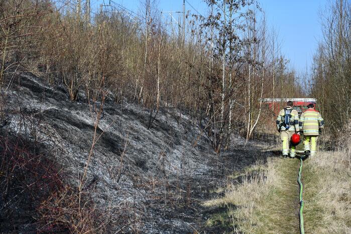 Enorm stuk riet langs spoor in brand