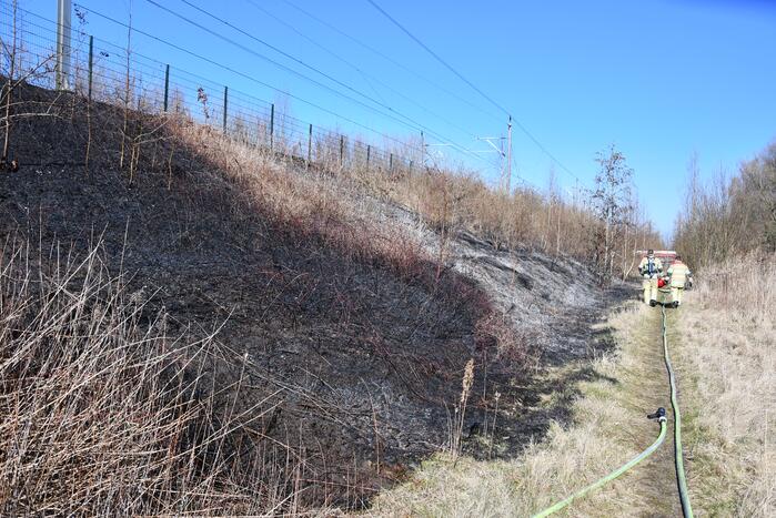 Enorm stuk riet langs spoor in brand
