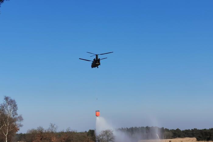 Chinook-transporthelikopter oefent boven Ginkelse Heide