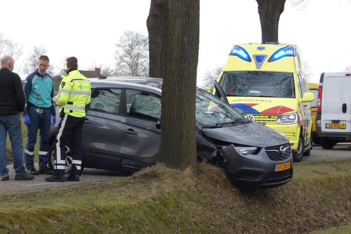 Auto tegen boom na uitwijkmanoeuvre