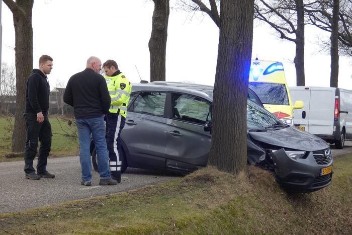 Auto tegen boom na uitwijkmanoeuvre