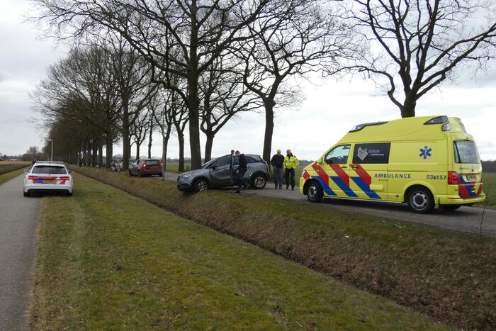 Auto tegen boom na uitwijkmanoeuvre