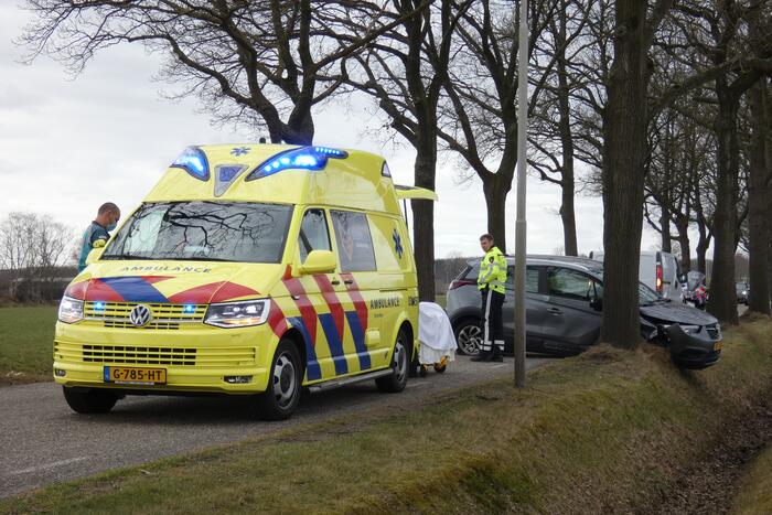 Auto tegen boom na uitwijkmanoeuvre