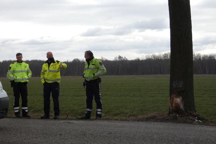 Auto tegen boom na uitwijkmanoeuvre