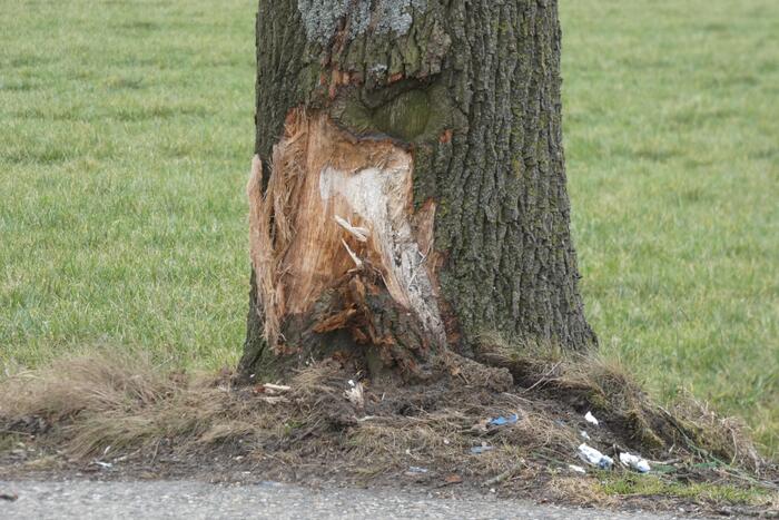 Auto tegen boom na uitwijkmanoeuvre