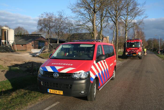 Varkens zakken door roostervloer en belanden in gierkelder