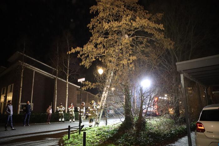 Brandweer redt kat uit boom