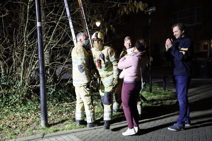 Brandweer redt kat uit boom