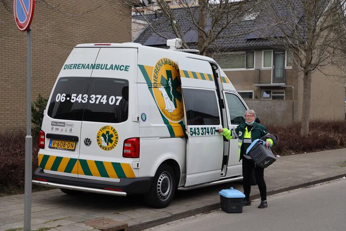 Zwaarbewapende agenten bij woning in Schuilenburg