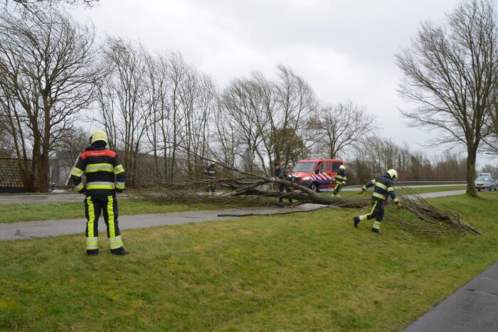 Omgewaaide boom blokkeert weg