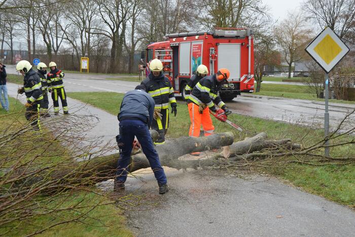 Omgewaaide boom blokkeert weg
