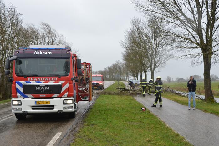 Omgewaaide boom blokkeert weg