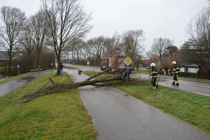 Omgewaaide boom blokkeert weg