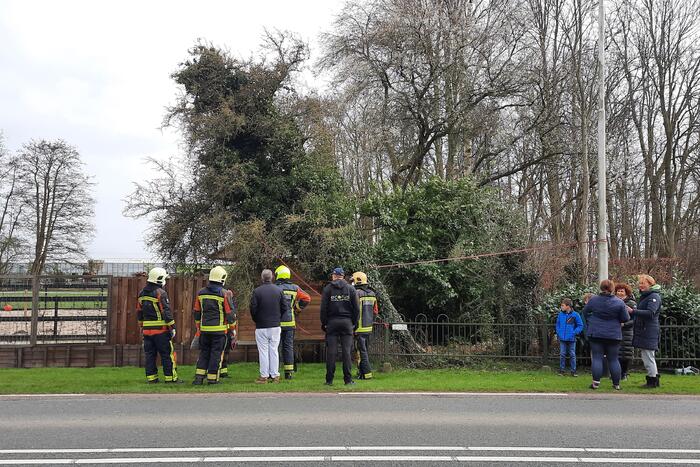 Boom omgewaaid door storm