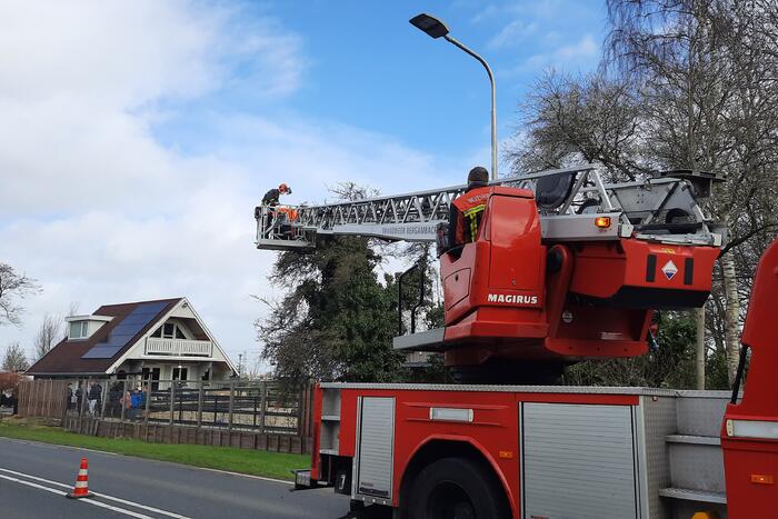 Boom omgewaaid door storm