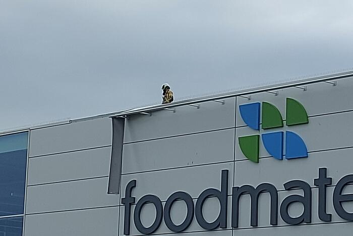 Dakplaat losgelaten door storm