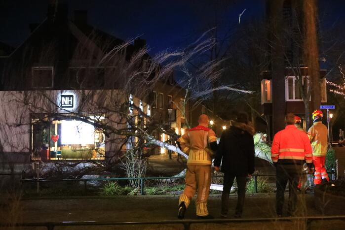 Instabiele boom omgezaagd door brandweer