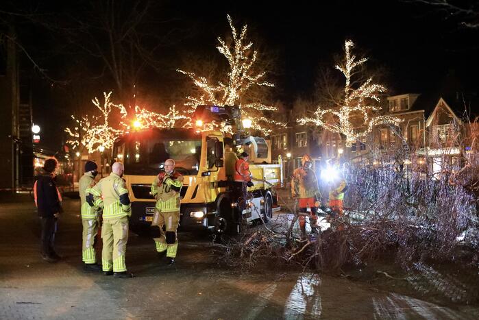 Instabiele boom omgezaagd door brandweer