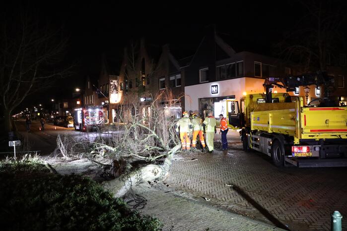 Instabiele boom omgezaagd door brandweer