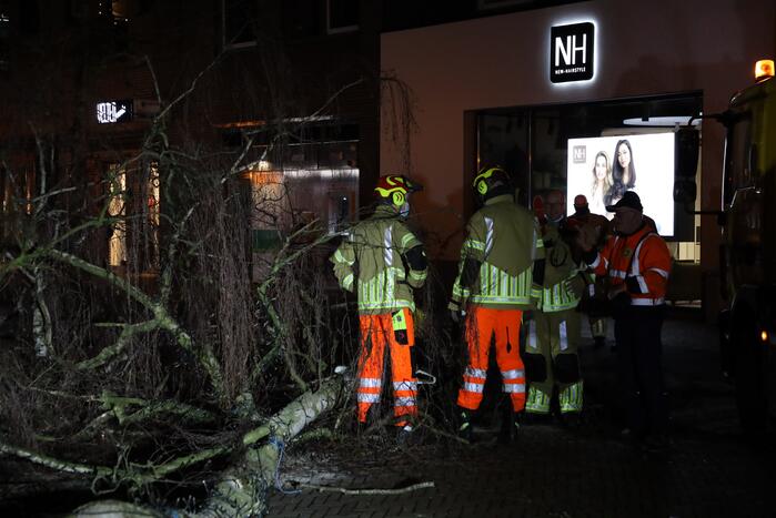 Instabiele boom omgezaagd door brandweer