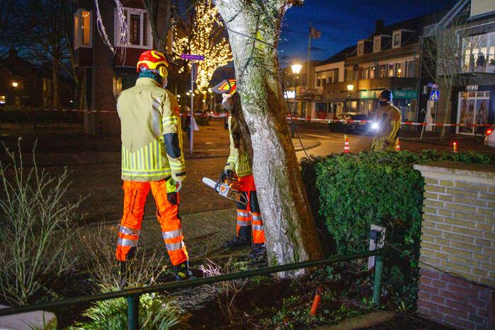 Instabiele boom omgezaagd door brandweer