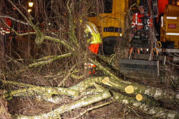 Instabiele boom omgezaagd door brandweer