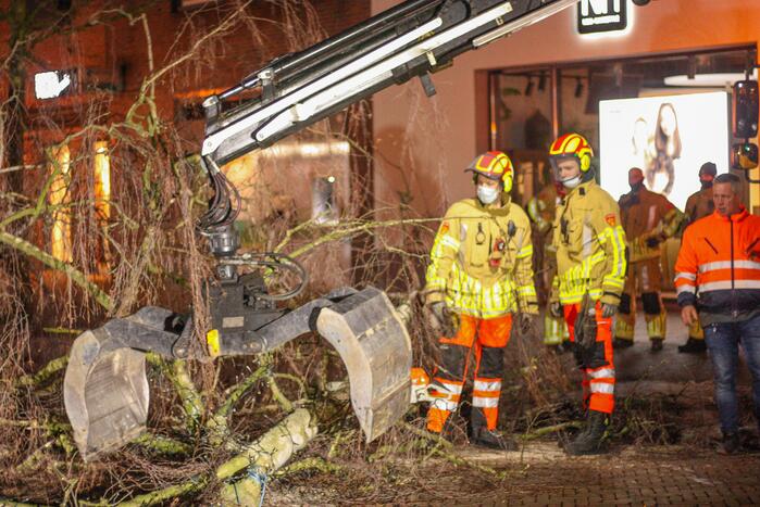 Instabiele boom omgezaagd door brandweer