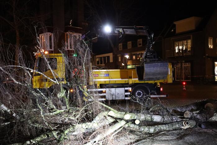 Instabiele boom omgezaagd door brandweer