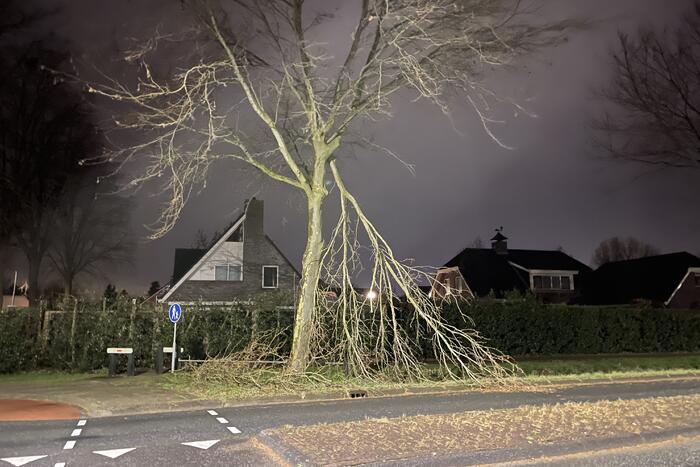 Brandweer verwijdert afgebroken takken