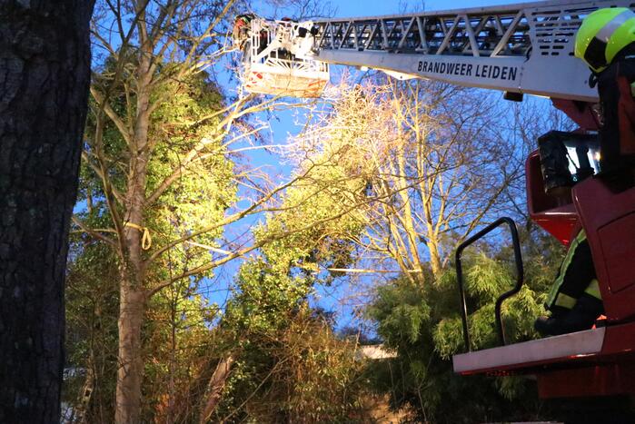 Brandweer zet boom vast met spanbanden