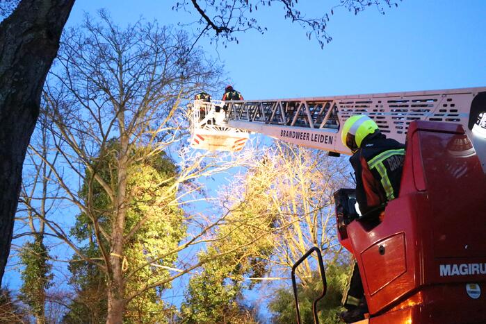 Brandweer zet boom vast met spanbanden